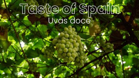 Uvas Doce (Taste of Spain)