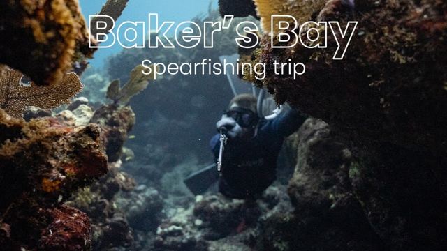 Spearfishing Trip (Baker's Bay)